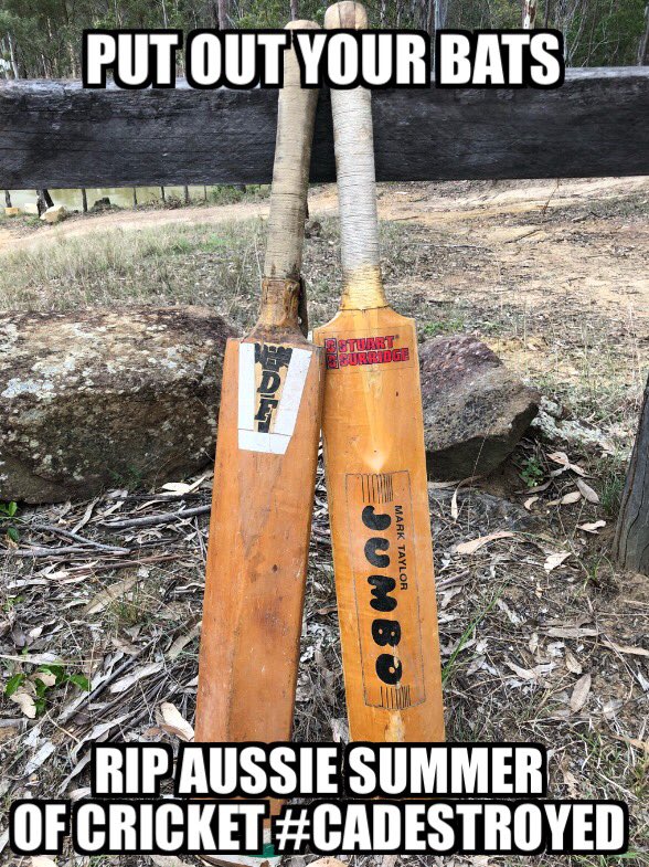 Mourning the Aussie Summer of Cricket.