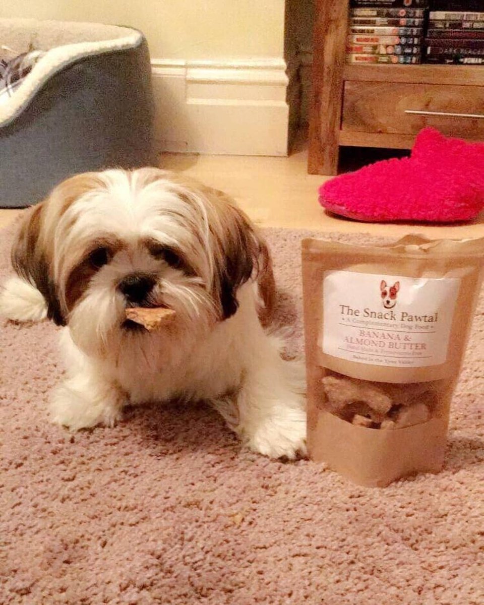 TheSnackPawtal's tweet photo. Love this little guy 😍 Winston received his festive delivery and has given them a big paws up. Festive packs include Christmas trees, bells, stockings, gingerbread men and reindeer. Not long to go now 🎅🏼🦌 #bakedinthetynevalley #northumberland https://t.co/Agm23qVmD3