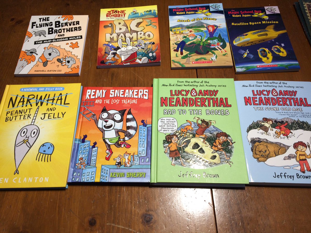lksimcoepslib's tweet photo. Thank you to everyone who participated in our @chaptersindigo adopt-a-school fundraiser. We raised $170 to buy books for our library. It’s a graphic novel extravaganza @LakeSimcoePS ! #newbooks #helpingkidsread https://t.co/F6nMCPrkQt