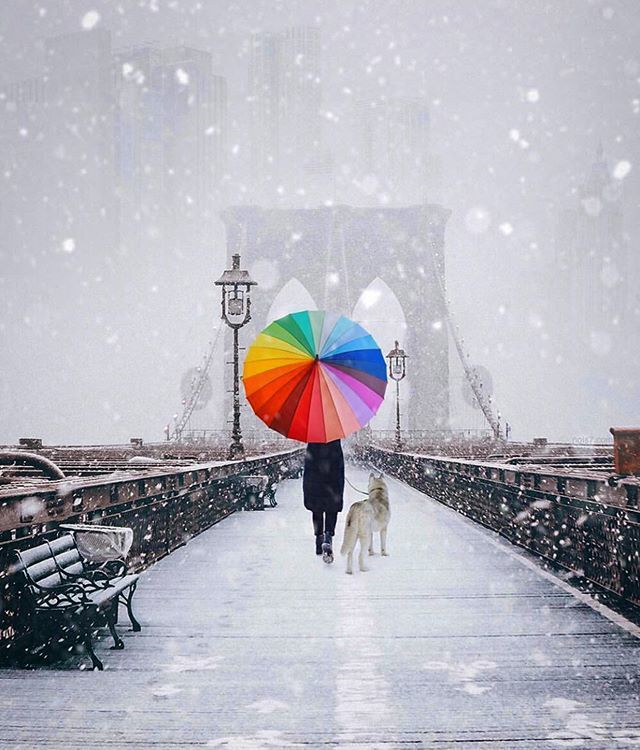 Further_App's tweet photo. Add your colour to the world! 📸@nois7
.
.
Go Far. Go Further
.
.
#furtherapp #gofargofurther #travel #traveller #explorer #vacation #destination #adventure #freedom #exploration #wanderer #travelphotography #travelblogger #femaletravel #femaleexplorer #snow #snowfall #winter… https://t.co/7gLOpYNBNZ