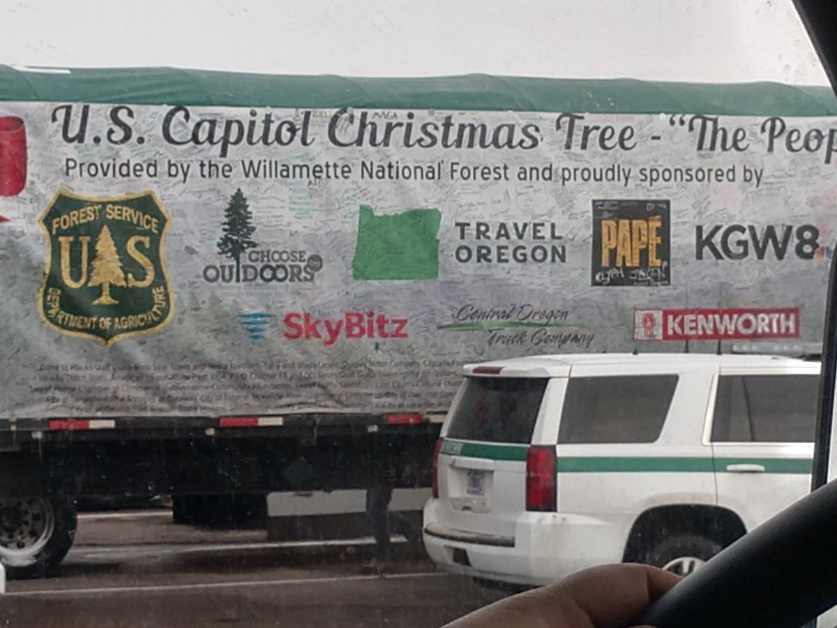 ResidentTrucker's tweet photo. After 3 - 4 days we finally found the tree #TrackTheTree https://t.co/IfDrP6ODVg