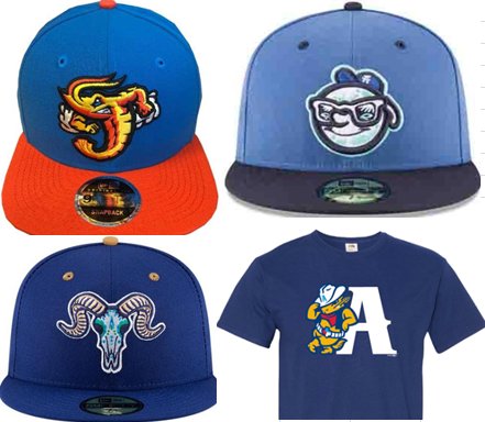 DAVEseason's tweet photo. here's the homies purchases from today #MiLBBracket @JaxShrimp @GoTourists @GoYardGoats @sodpoodles https://t.co/aMeC6ffzfy