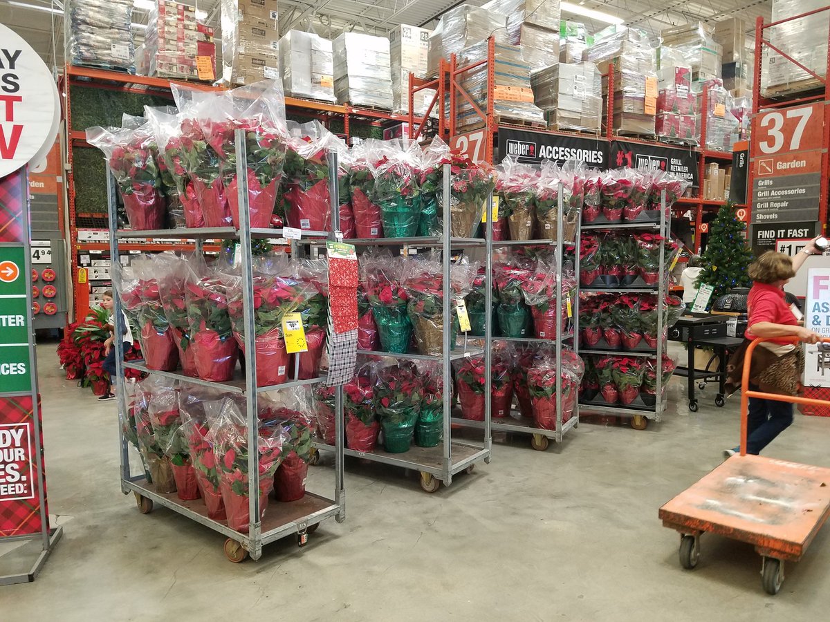 Loaded with Poinsettias here at #homedepot #hd0226 #Southside #poinsettias #fallweather @PBFmedia <a href="/bjryan3/">bj ryan</a>