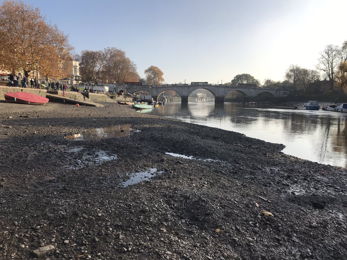 Pete Trapnell tweet media