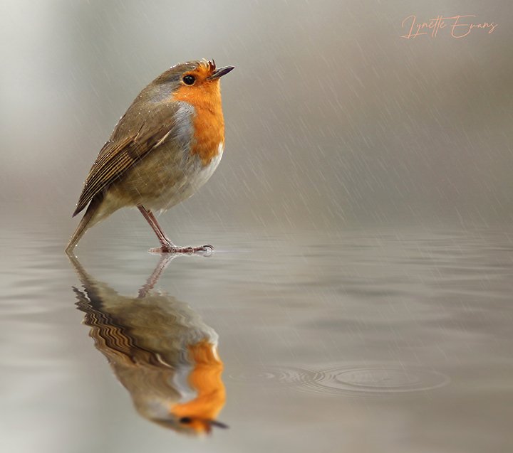 Neil Randon (@NRandonFactor) | Twitter