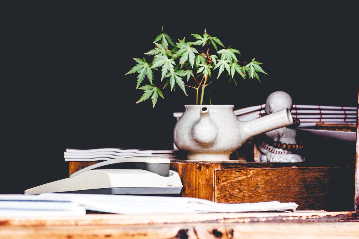 Cannabis has been legal for a full month now! Have you updated your HR policy to reflect this change yet? If not be sure to click the link below to study up on how this change in legislation effects you. beacon-hr.com/blog/cannabis-…