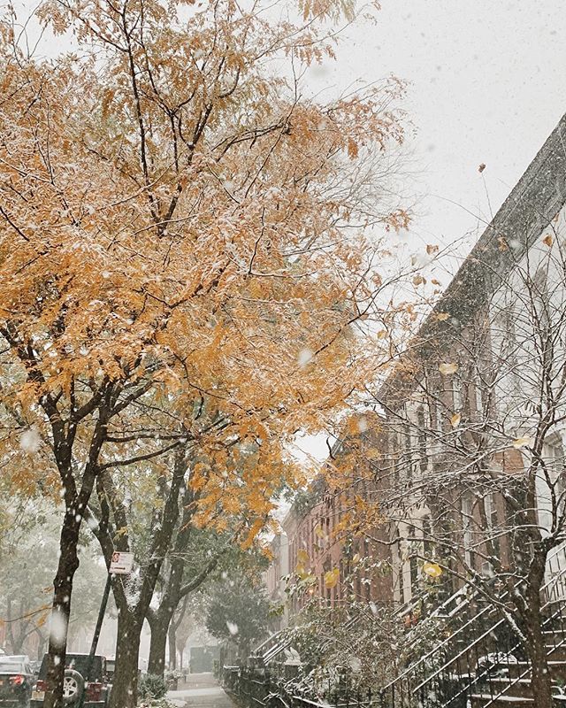 This week: a phenomenal surprise. Snow in autumn. ift.tt/2Kbk5Qx