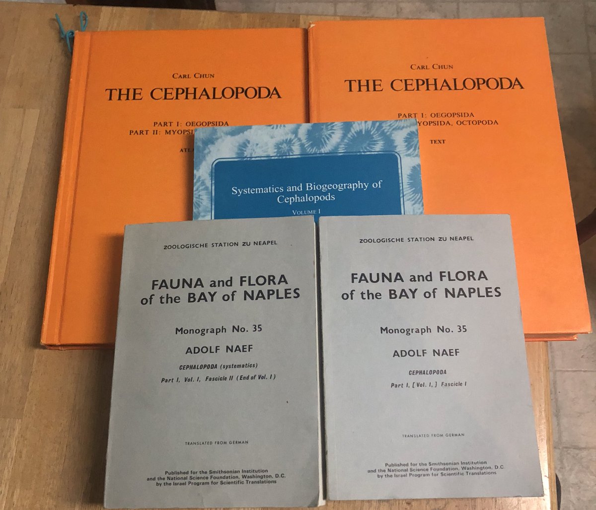 SarahMackAttack's tweet photo. Bringing home a SERIOUS library upgrade from #CIAC2018 it’s nerd Christmas 😍🦑😍 https://t.co/bioTRVRkfD
