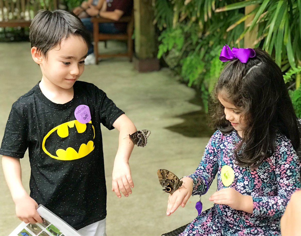 Favorite place in #Miami... Wings of the Tropics 🦋 <a href="/FairchildGarden/">Fairchild Garden</a>