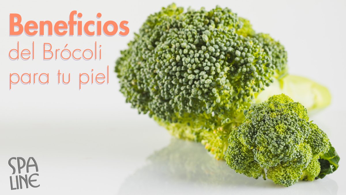 MundoSpaLine's tweet image. El brócoli contiene vitamina E, la mejor aliada de la piel. Posee glucorafanina que ayuda a mejorar la piel dañada por el sol. Además tiene omega 3 y vitaminas A, B y K que dan brillo, suavidad y elasticidad a tu dermis.
#spaline #spalinecontigo #piel #pielsana #brocoli
