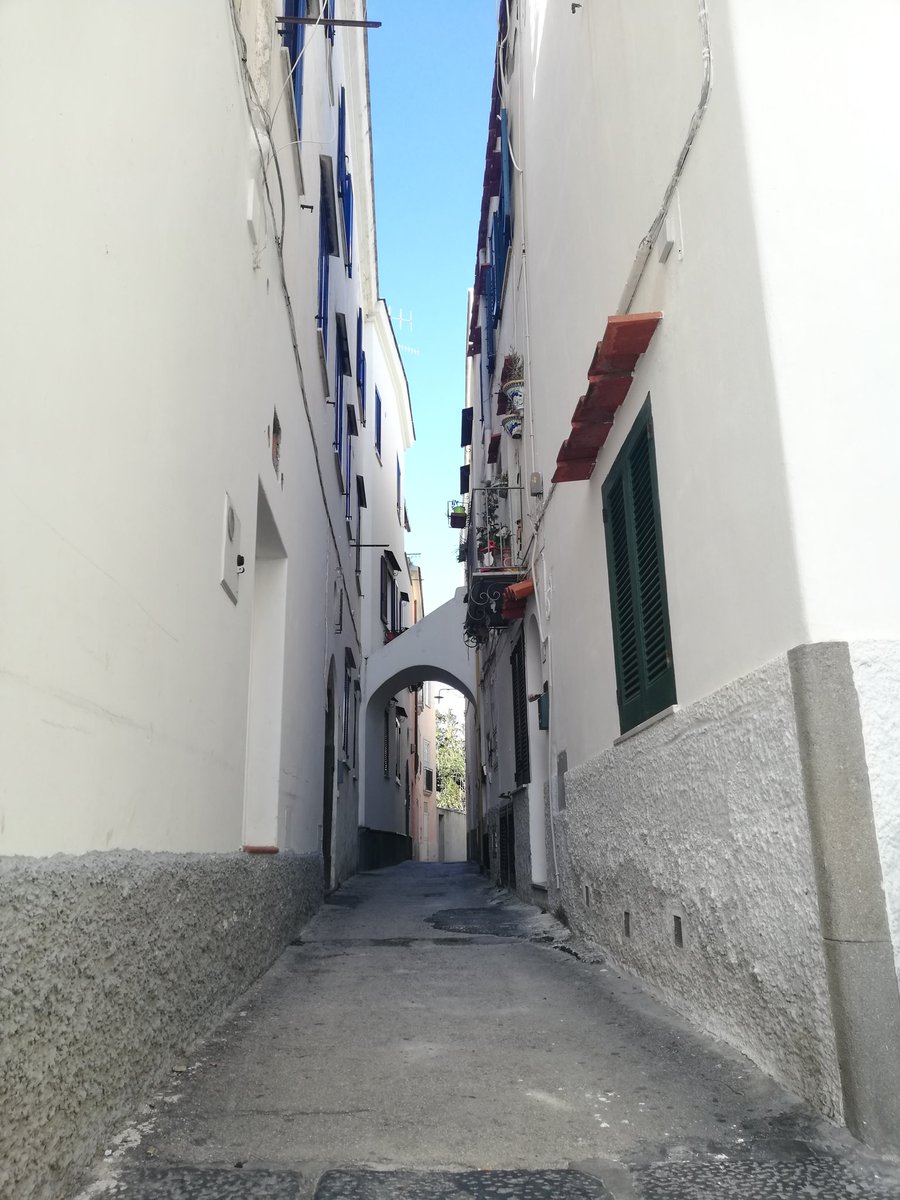 ClaudioCimmino5's tweet photo. #foriodischia #islandischia #ischia #ischiamare #ischiaisolaverde #ischiaisland #iloveischia #visitischia #igischia #igersischia #islandischia #natgeo #natgeotravel #natgeoyourshot #igitaly #shotz #shotz_of_italia #instaitaly #igersnaples #volgoitalia #volgoitaly #europe #italy https://t.co/HI2Gf2BkB0