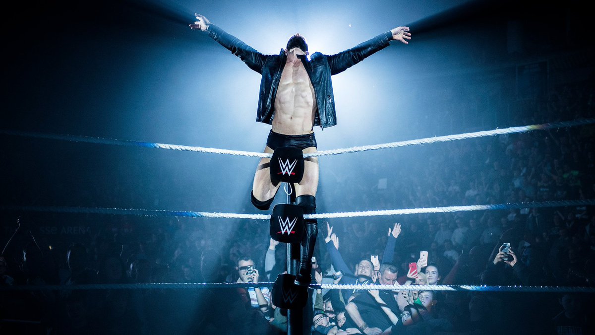 ふ み コーナーに上がっての決めポーズが神々しくて好きです お前らが思うカッコイイポーズを教えろ Wwe