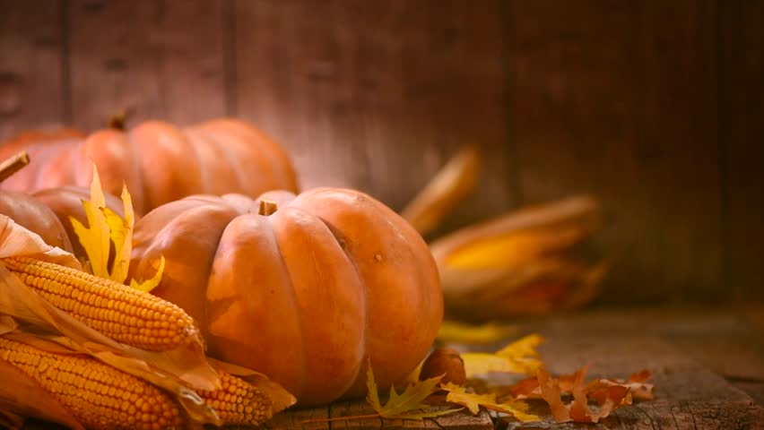 Happy Holidays! We still have appointments available throughout the weekend and the holiday week. As well, keep an eye out for updates on Thanksgiving and Black Friday sales, coming soon!