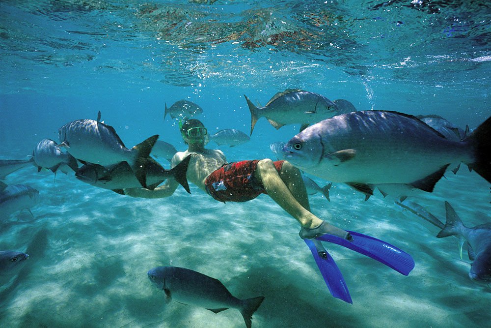 Grand Sirenis Punta Cana tweet media