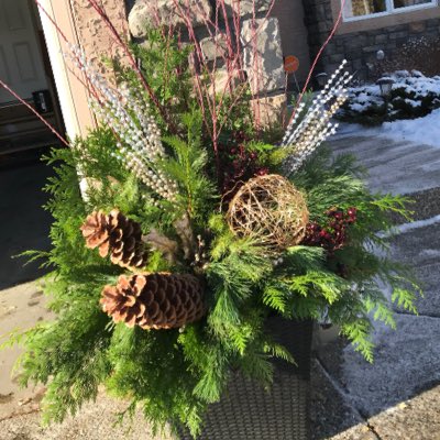 BonavistaFlowe1's tweet photo. #NewProfilePic https://t.co/ucNmL5y3eD