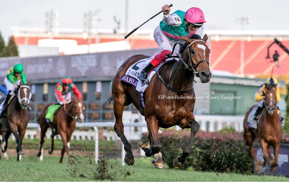 PotroRob's tweet photo. #Hipismo - Hace 2 semanas... @BreedersCup #BC2018
#fotos @casey_laughter para ©️https://t.co/LwPWpYPaoU https://t.co/MLjocmv0RK