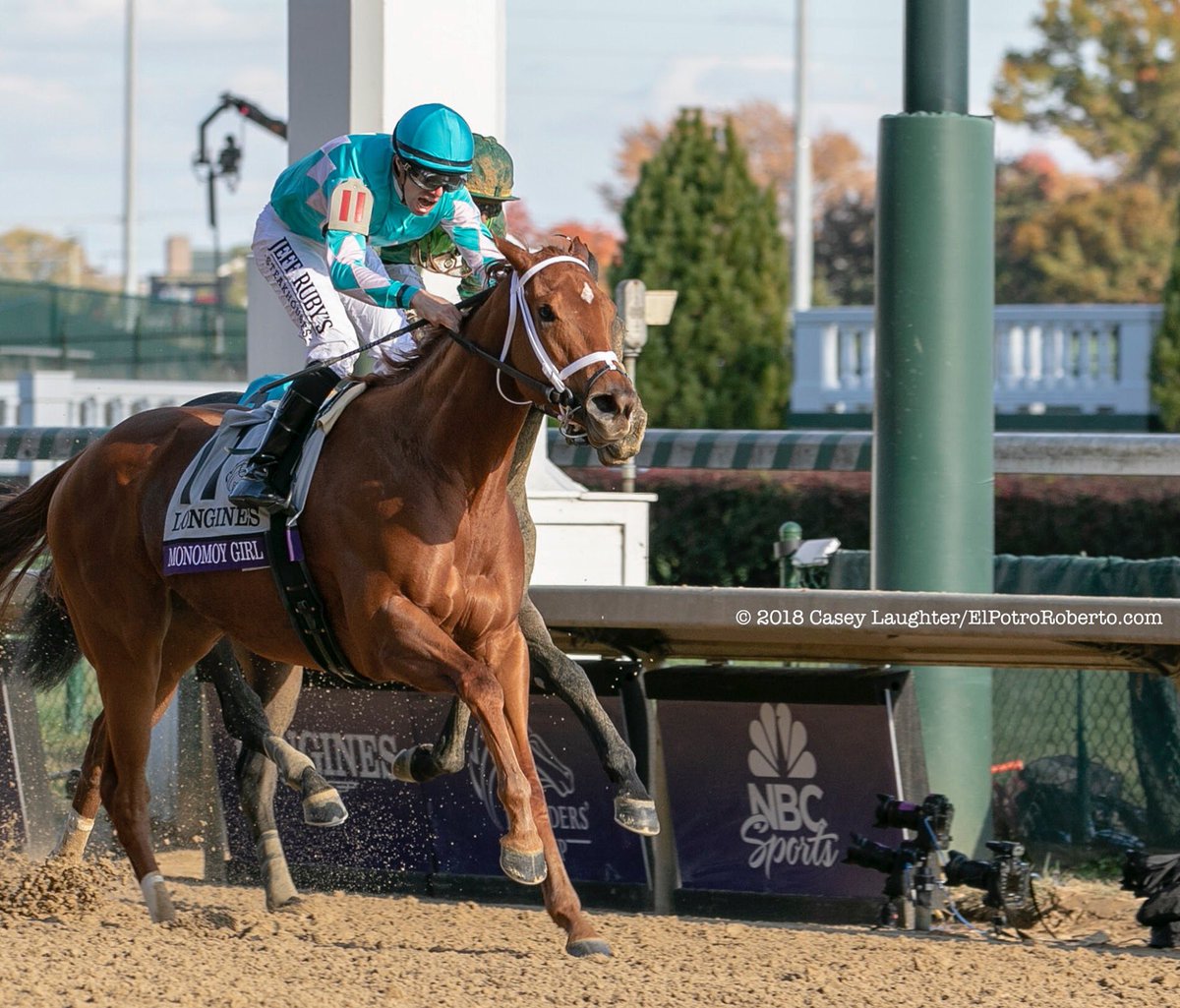 PotroRob's tweet photo. #Hipismo - Hace 2 semanas... @BreedersCup #BC2018
#fotos @casey_laughter para ©️https://t.co/LwPWpYPaoU https://t.co/MLjocmv0RK