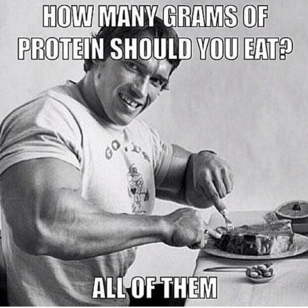 MrFitAltitude's tweet photo. For all my "GYM BROS"

#fitlife #fitness #gym #gymlife #fitnessday #gymmotivation #pinehurst #nutrition #Health #fitspo #sweat #fitfam #chest #tattoo #southernpines #sopines #aberdeen #fayetteville #gymshark #swole #swolemates #moorecounty #motivation #altitude https://t.co/75Gs9ZhnOl