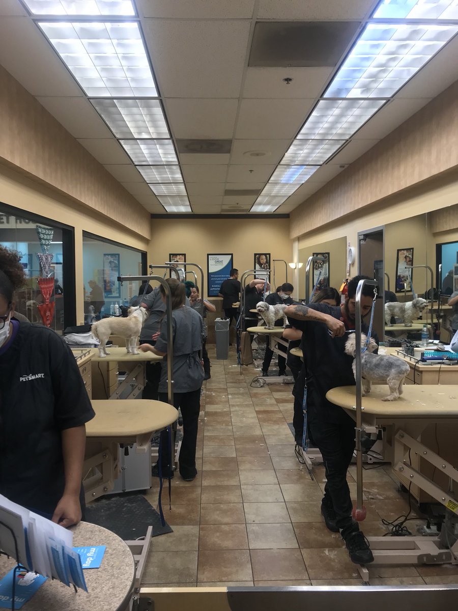Tenured Stylists and Academy Students working together as one team! <a href="/ashleybeltz84/">Ashley</a>