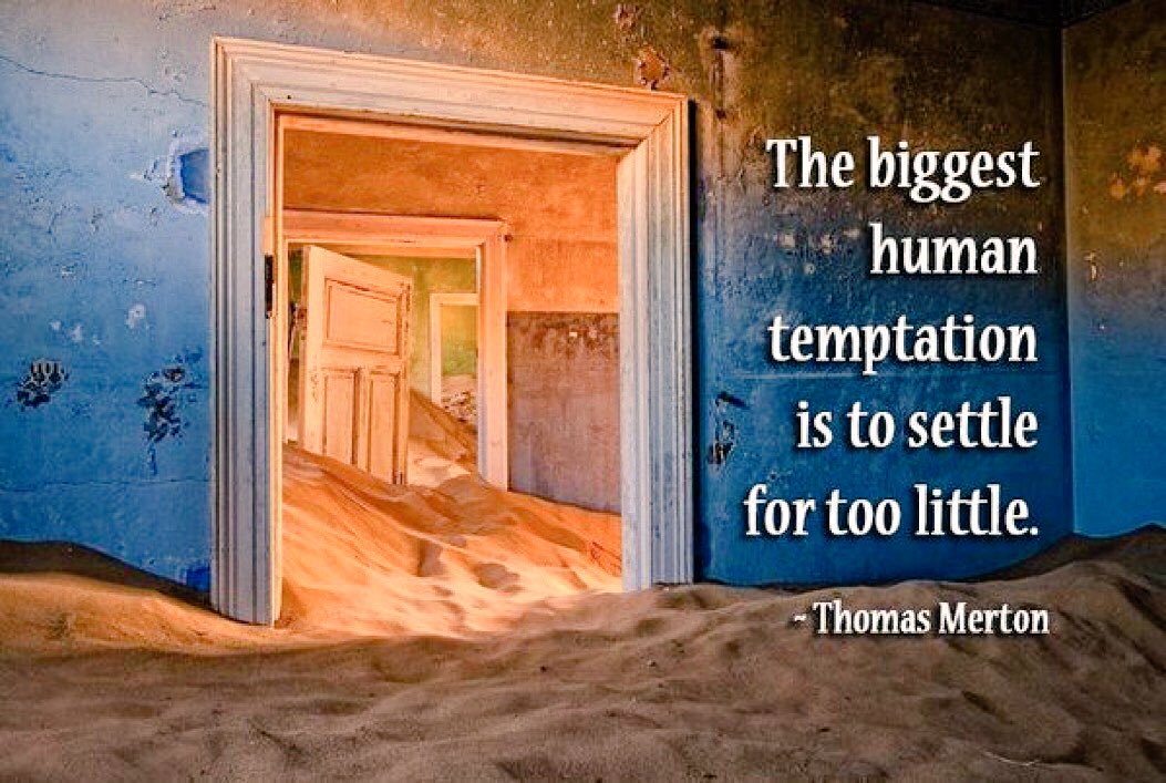 Tamara McCleary tweet media