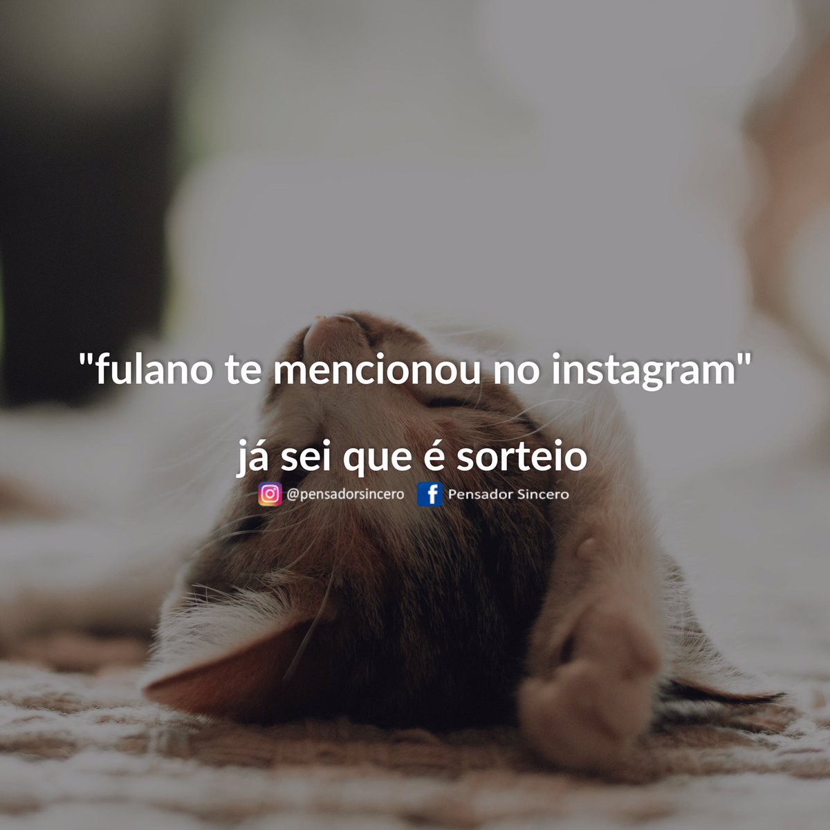 Featured image of post Pensador Sincero Instagram Browse instagram with the best experience