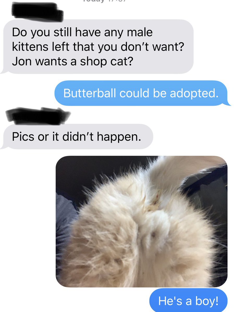 vannawyk's tweet image. Why doesn&apos;t my brother appreciate my humor? #siblingproblems