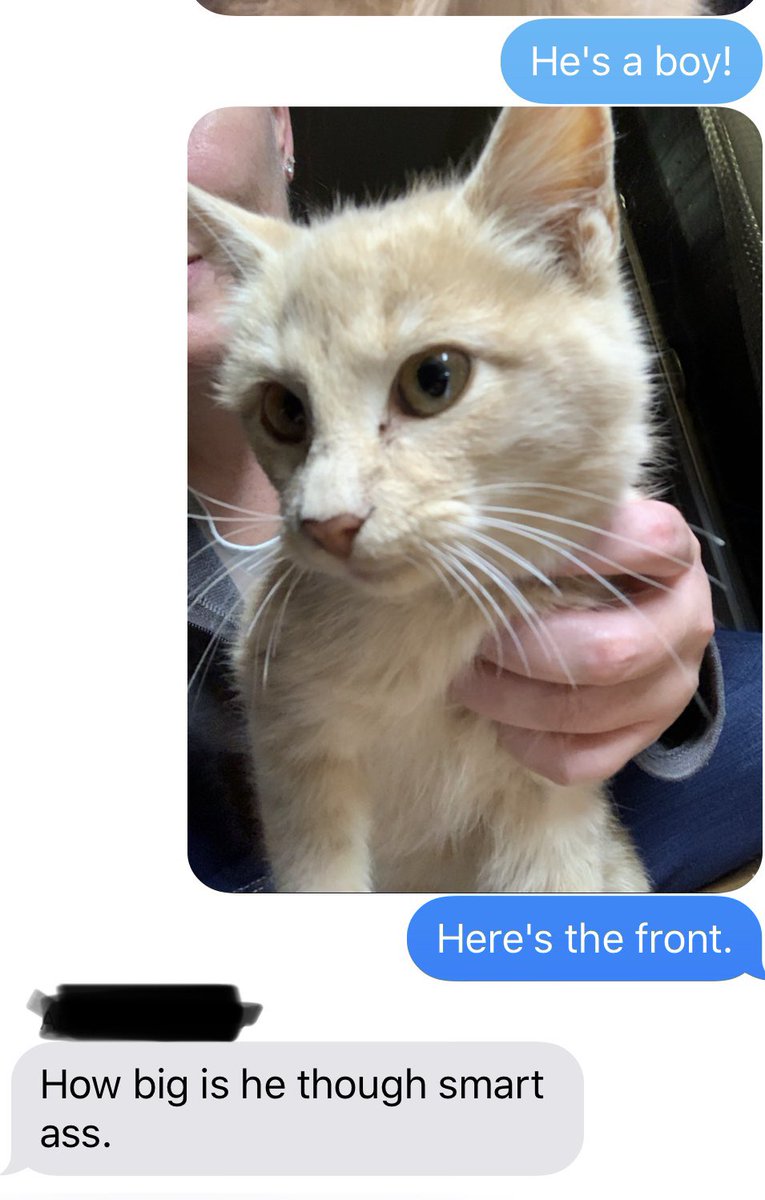 vannawyk's tweet image. Why doesn&apos;t my brother appreciate my humor? #siblingproblems