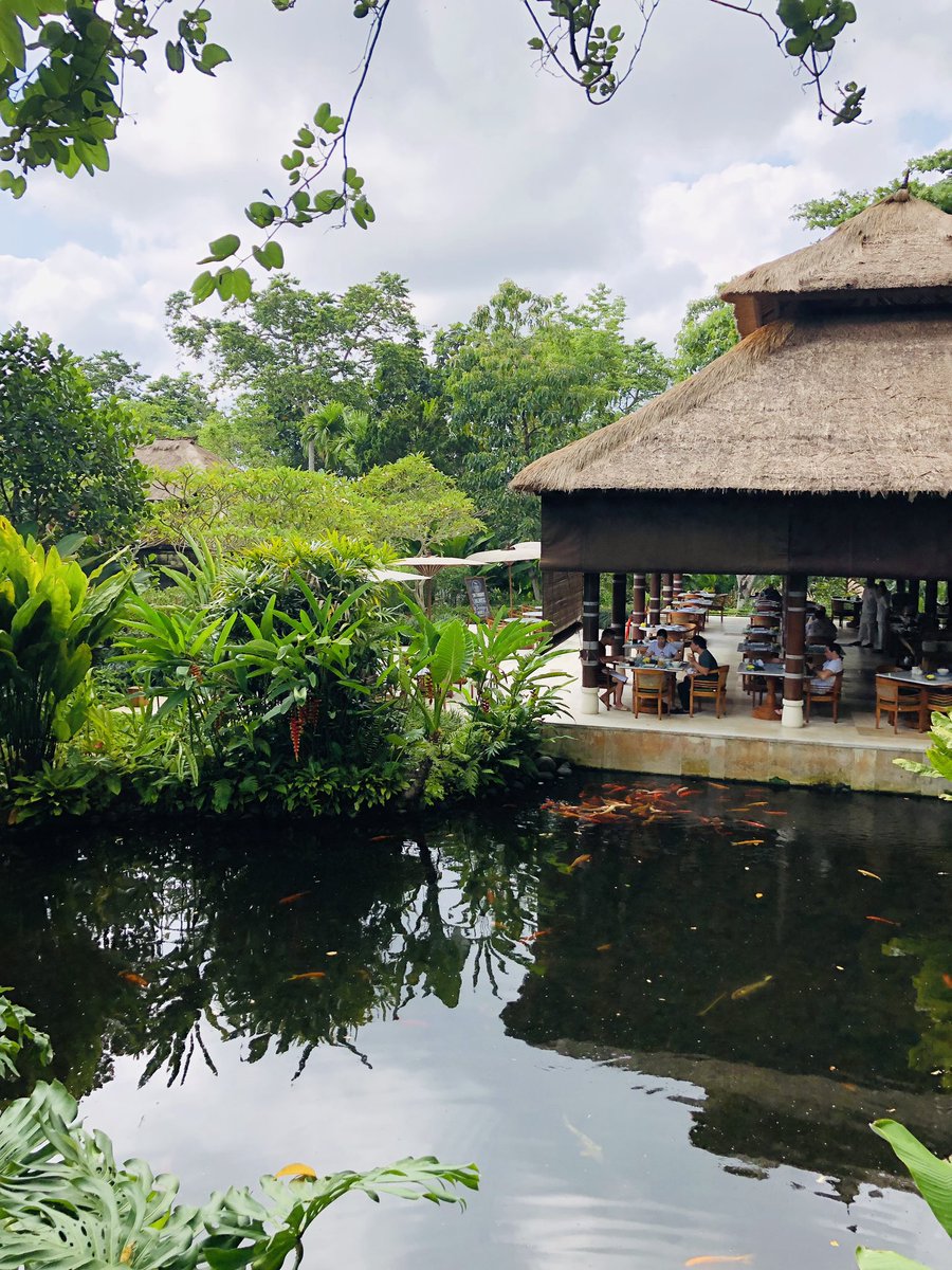 Sally_Elite's tweet photo. First stop of our Bali trip. #Como #elitetc #LuxuryTravel #bali #ubud #stunning https://t.co/KiVkiFnmiT