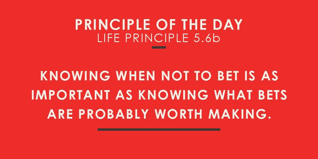 tunida72's tweet image. 