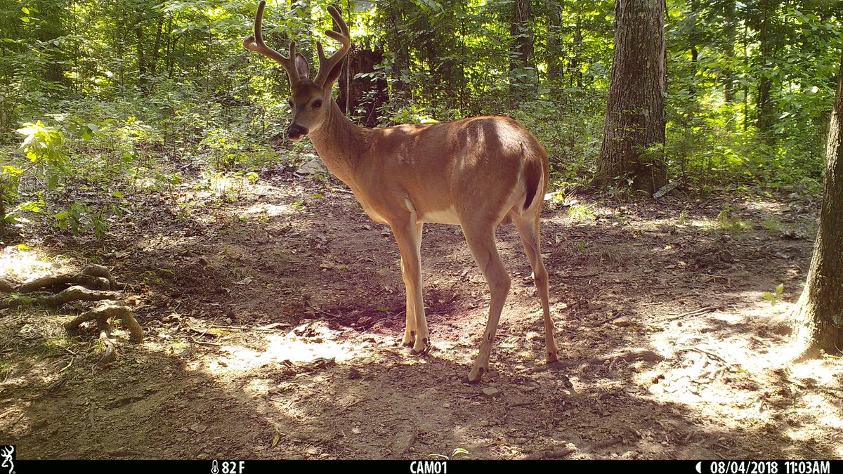 Not how ya like to find em.