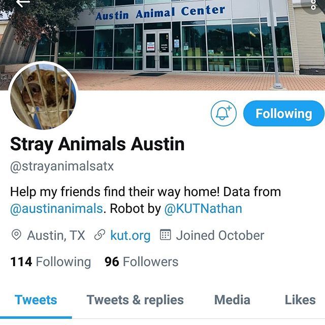 ATXLostFoundPet's tweet photo. Are you on Twitter? StrayAnimalsATX automatically tweets when a stray animal is brought to the @austinanimalcenter. Make sure you check this Twitter along with AAC database for your missing pet!
#austinlostandfoundpets #alfp #missingpets #atxpets #austin #texas #atx #petsarโฆ https://t.co/XpsMRr7msg