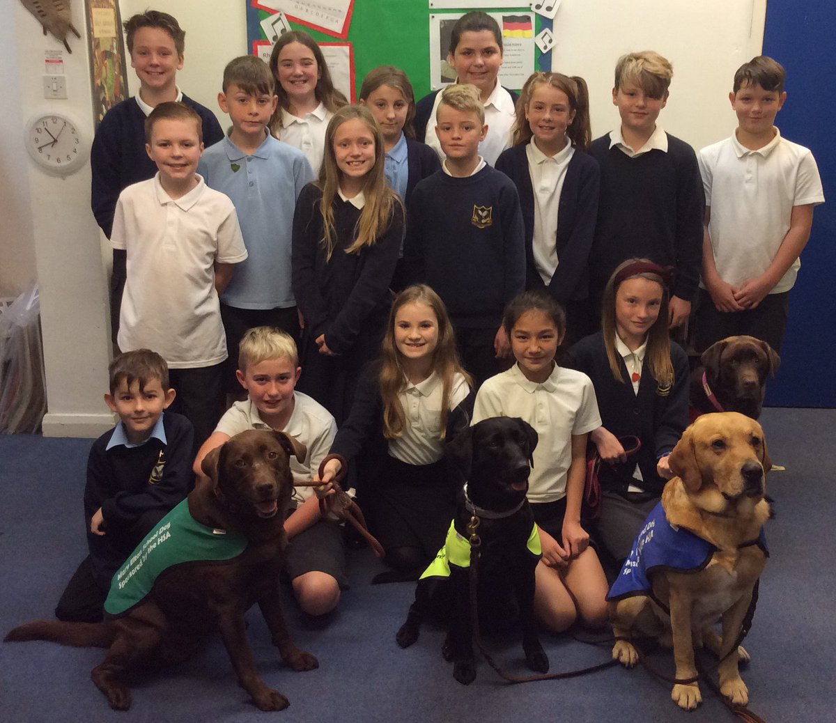 MaryEltonPS's tweet photo. It was great to meet all of our #housedogs in assembly! Jet for Curzon house, Coco for Pier house, Rocket for Triangle house and of course Ava for Court house. Here they are with their #housecaptains and their lovely house-coloured jackets! #schooldogs #schoolhouses https://t.co/boBxHdGcvB