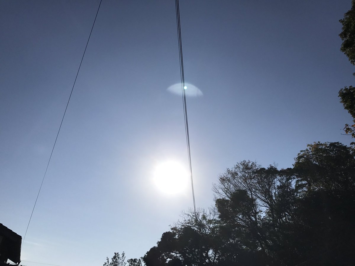 今日も優しい時間が
紡がれますように＊*｡·*