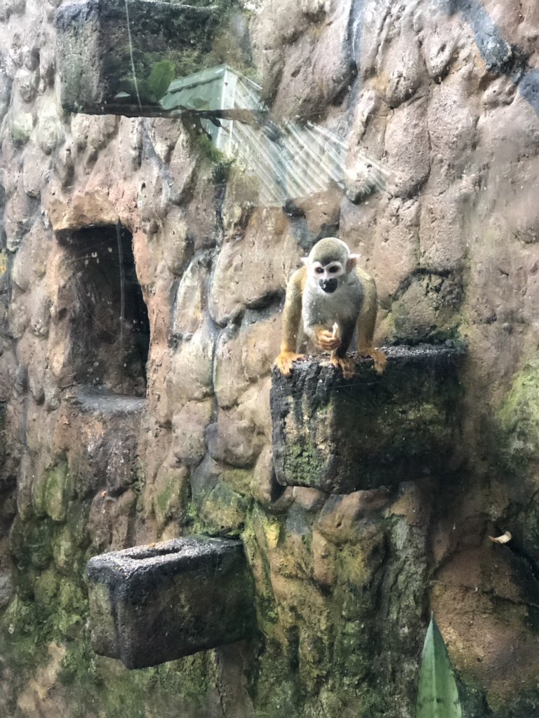 WildMde tweet picture