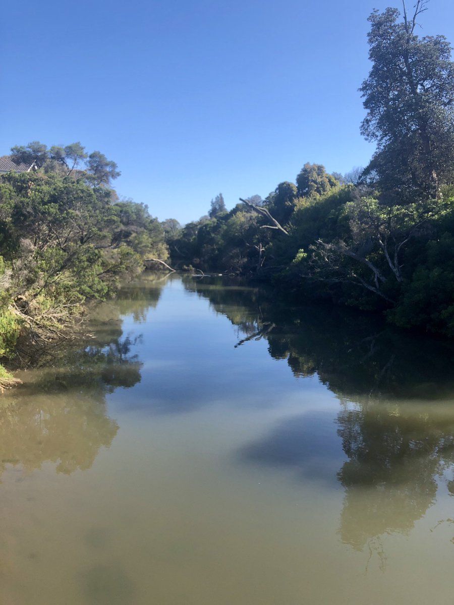 Donna Bauer tweet media