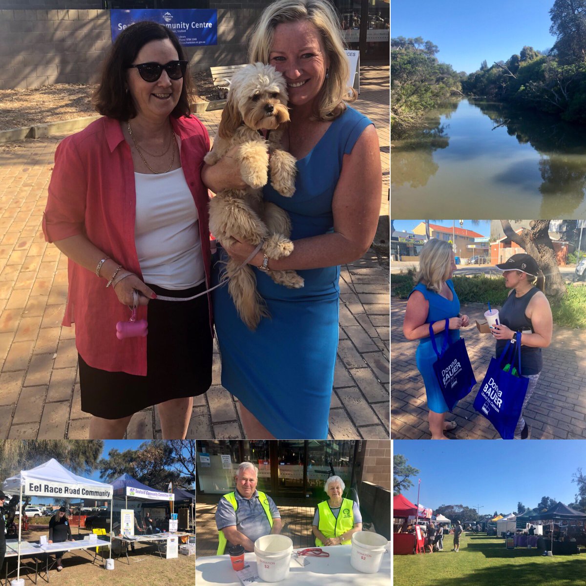 Donna Bauer tweet media