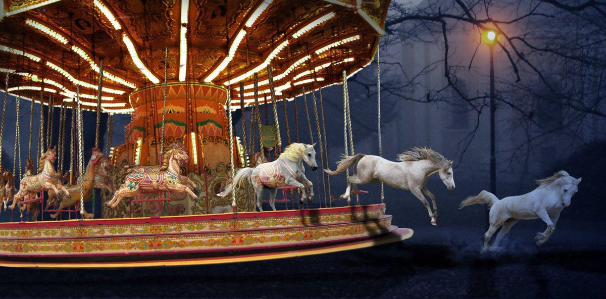 Mischa (Muyra) tweet media