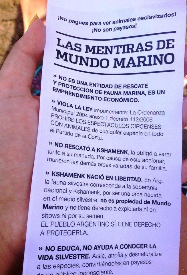 rodrigolxx's tweet photo. Este verano no vayas a mundo marino, no pagues para ver animales esclavizados. https://t.co/nMCK7JmJCE