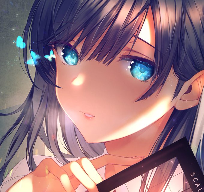 å¬ã³ã衚çŽðŠ
ãããè¶ã
âŠðŠâïž