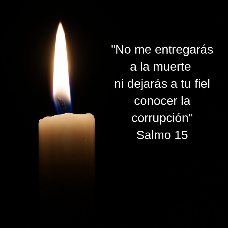 CIDALCop tweet picture