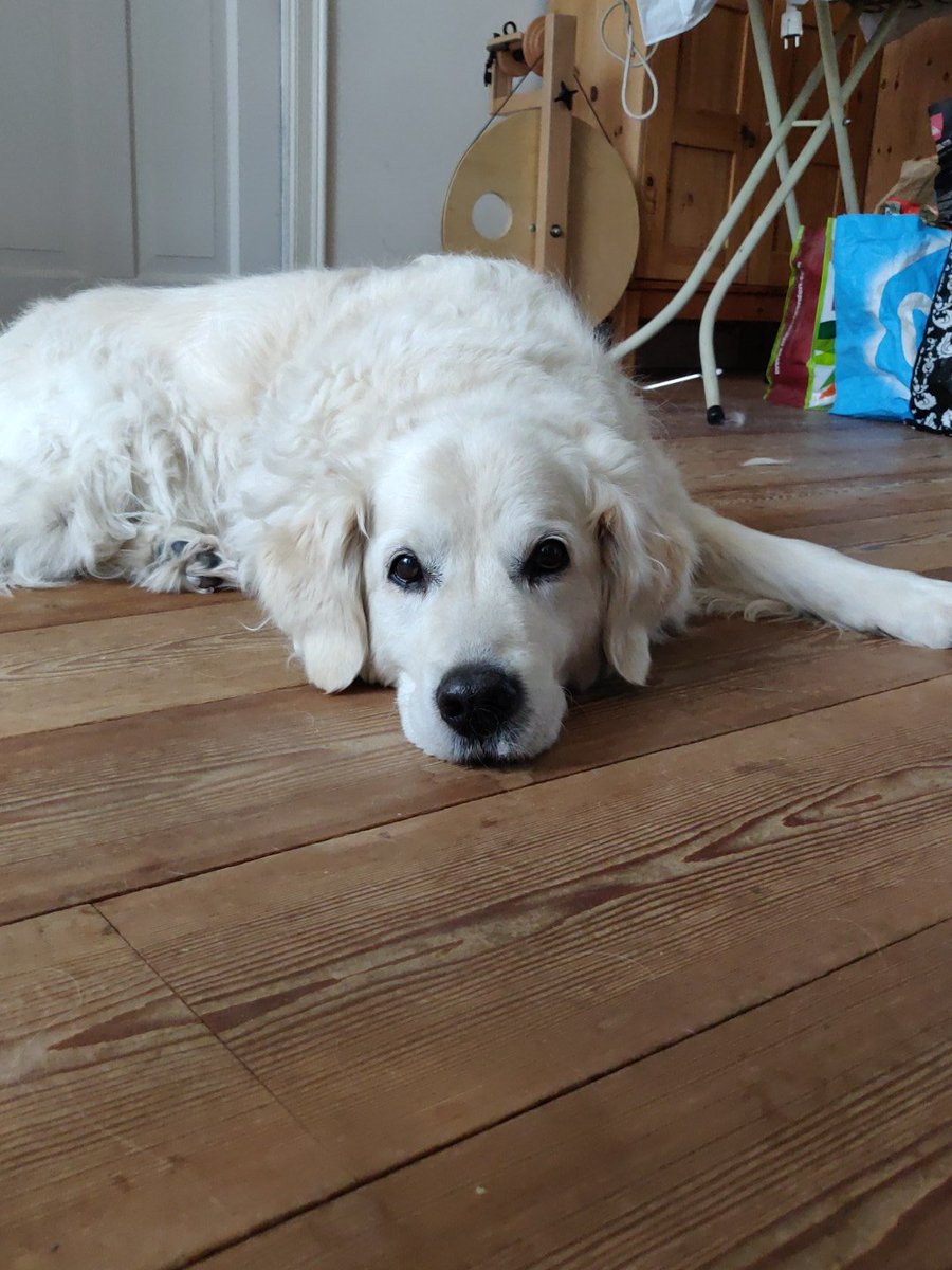 Nanne (@echoed_ae) on Twitter photo 