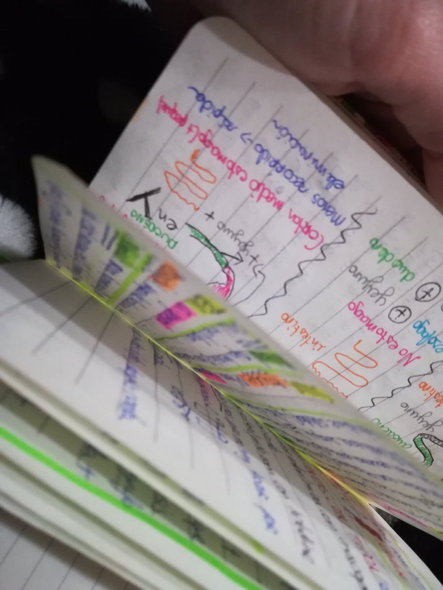 MlsbAlba's tweet photo. Vivan las libretas que nos sacan de tantos apuros!!!!!!!!!!! #VadeSatu @CTOEnfermeriaES @Patri_chiqui31 @Evita_Dnmta24 https://t.co/x4sHtAW3OJ