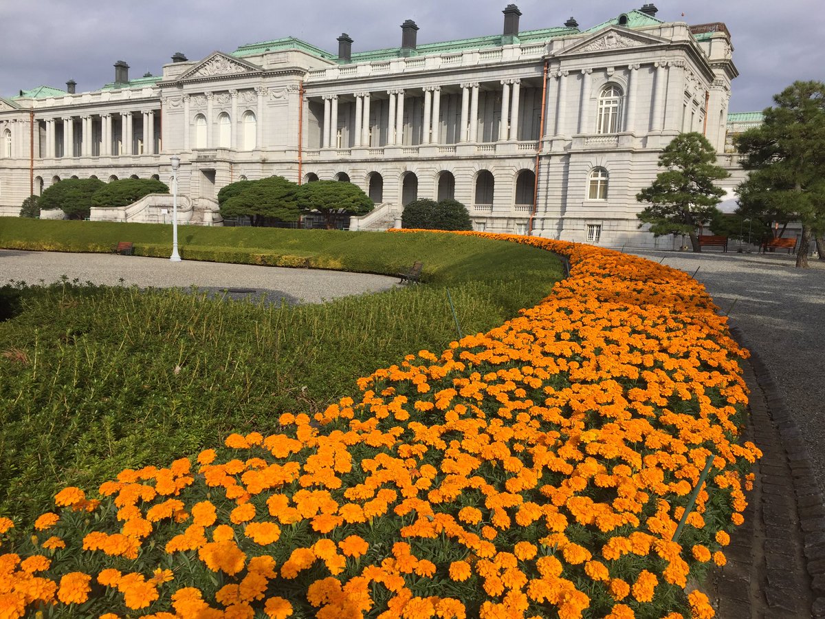 迎賓館赤坂離宮 Akasaka Palace 花壇 お庭の マリーゴールド が満開です 主庭の花壇はオレンジ色 前庭の花壇はオレンジ色と黄色のマリーゴールド 大きなお花がとっても華やかです 花