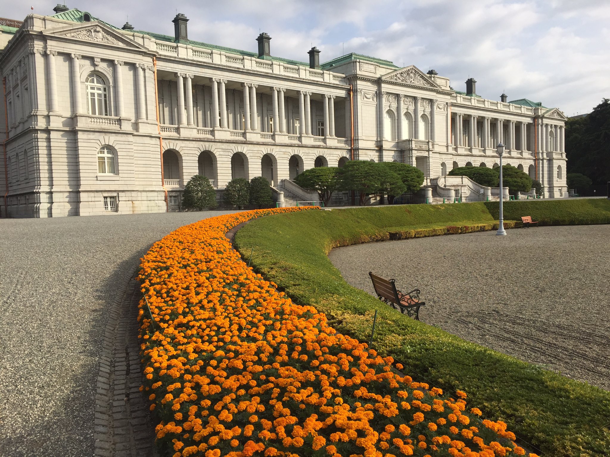 迎賓館赤坂離宮 Akasaka Palace 花壇 お庭の マリーゴールド が満開です 主庭の花壇 はオレンジ色 前庭の花壇はオレンジ色と黄色のマリーゴールド 大きなお花がとっても華やかです 花 T Co P8lr4rdbn7 Twitter