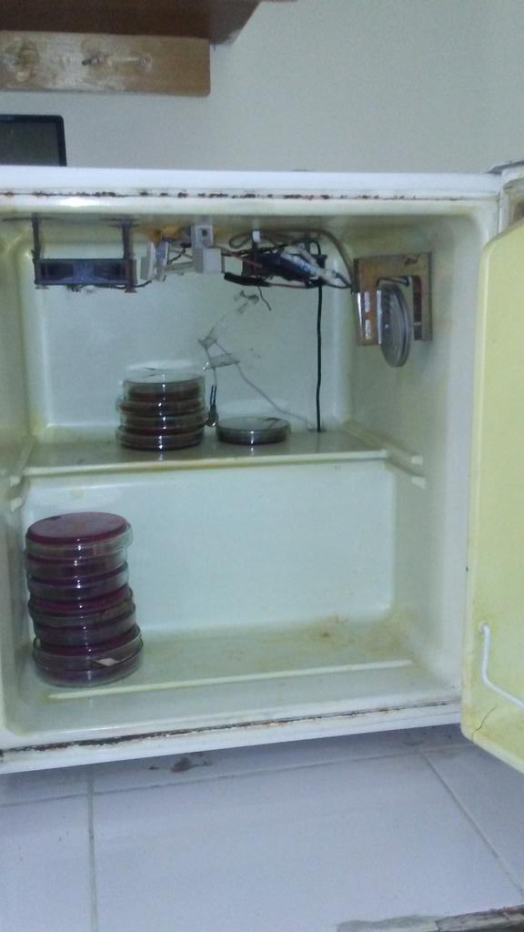 Zakirusufzai's tweet photo. DIY lab incubator created by our team #BiohackingSpacePeshawar.
#biohacking
#biotech
#bioTechMag
#bioart
#Biotecnologia
#biotechnology https://t.co/e9b08zFyVO