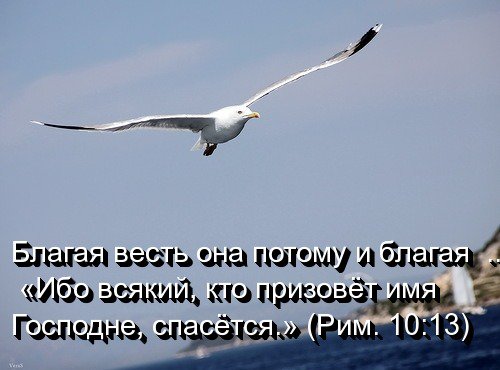 Arnaut_Yuriy's tweet photo. https://t.co/x39nJkChTj