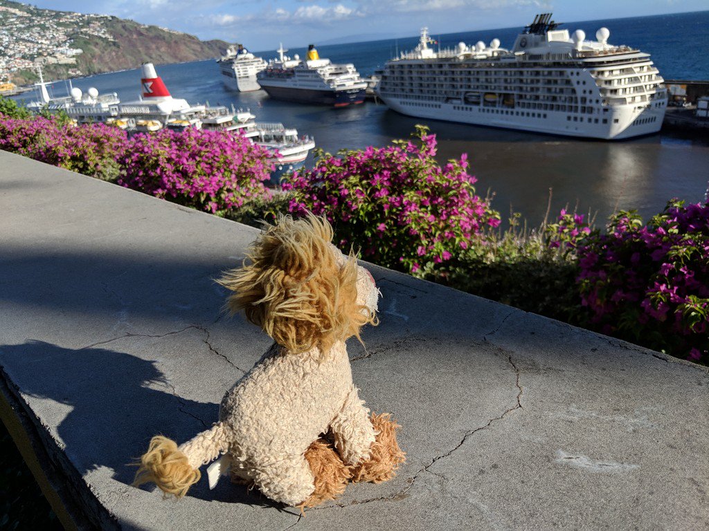 While <a href="/Ponders14/">Mr Ponders</a>  took Massimo and @PercivalMouse out, I decided to have a quieter day at the hotel.. the sun was shining and the views are beautiful so why not 😊