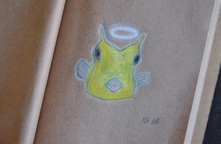 theinkedfrog's tweet image. Gone but never forgotten ♡ #RipCheese