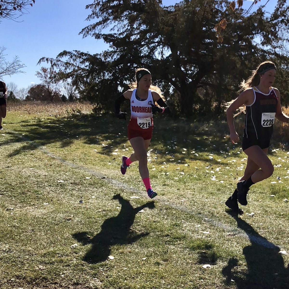 MSUM_XCTF's tweet photo. The @MSUMDragons men are in position for a #NCAAXC Championship at-large bid after a 4th-place finish at Regionals! @Josh_Young21 earns All-Region honors...a strong run by Kathryn Sistrunk leads Dragon women. https://t.co/1yqrDZW2WM
