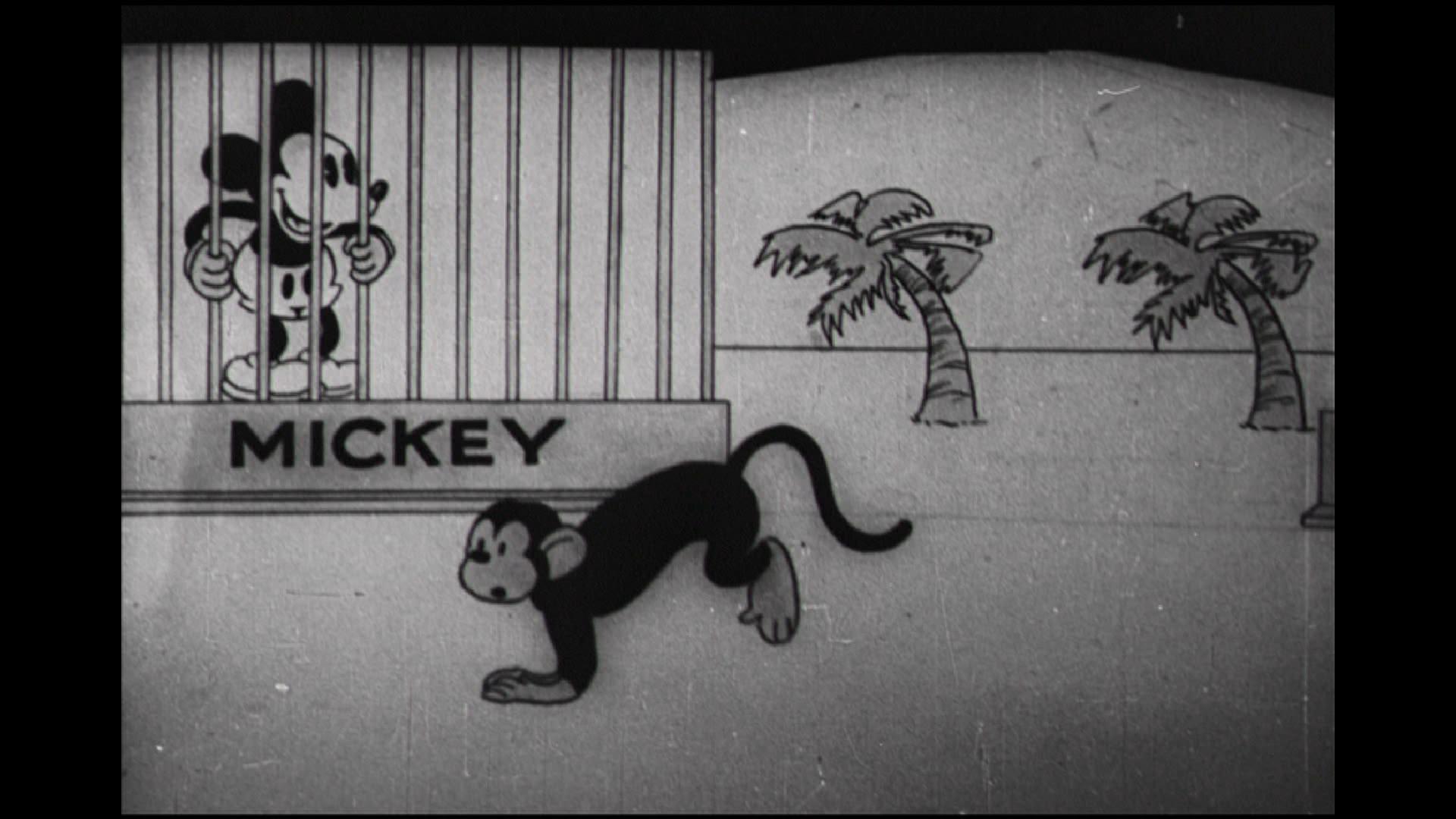 Macaco Feio Macaco Bonito (Short 1929) - IMDb